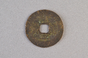 29-234-3131