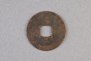 29-234-3156