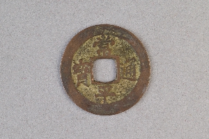 29-234-3196