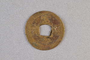 29-234-3313