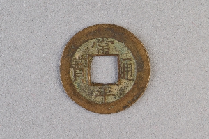 29-234-3728