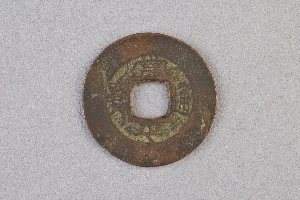 29-234-3981