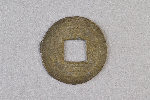 29-234-4204