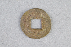 29-234-5033