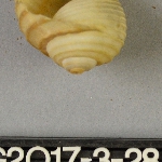 402141