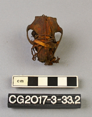 CG2017-3-33.2