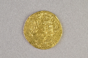 29-231-138