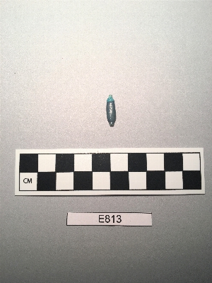 E813