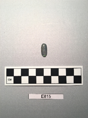 E815