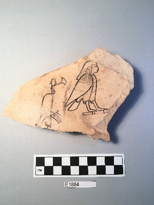 E1884