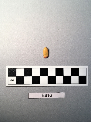 E816