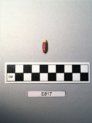 E817