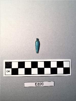 E820