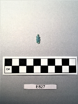 E827