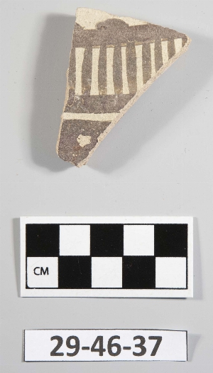 29-46-37