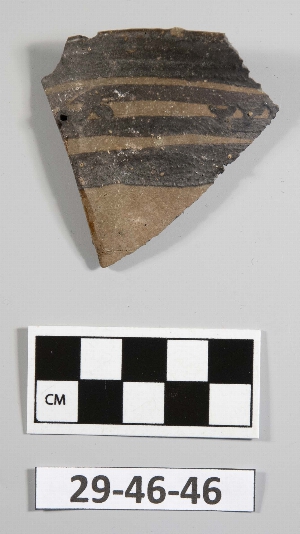 29-46-46