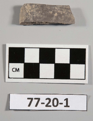 77-20-1