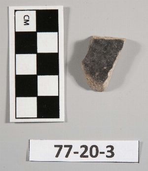 77-20-3