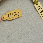 415301