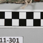 416689