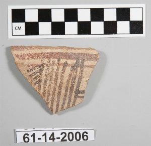 61-14-2006