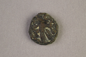 CG851202-5556