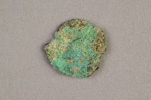 L-29-350.11