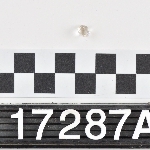 421901