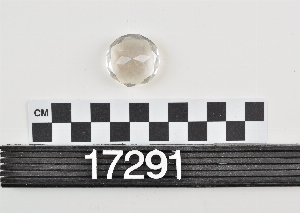 17291