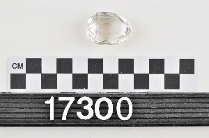 17300