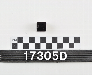 17305D