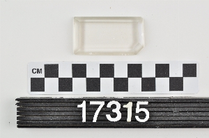 17315