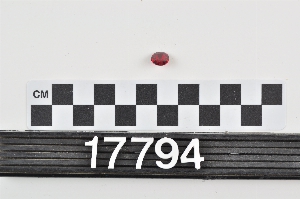 17794