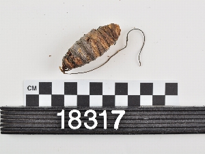 18317