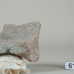 423534
