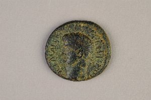 29-126-227