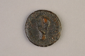 29-126-337A