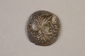 29-126-635