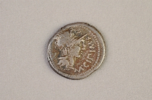 29-126-645