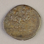427019