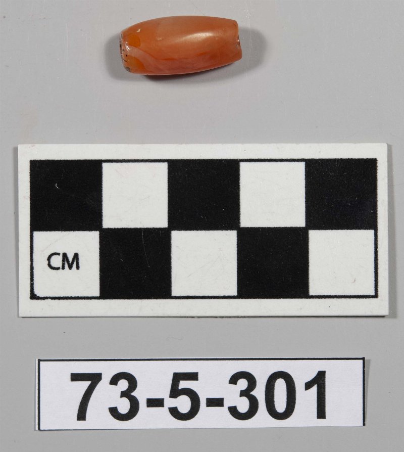 427831