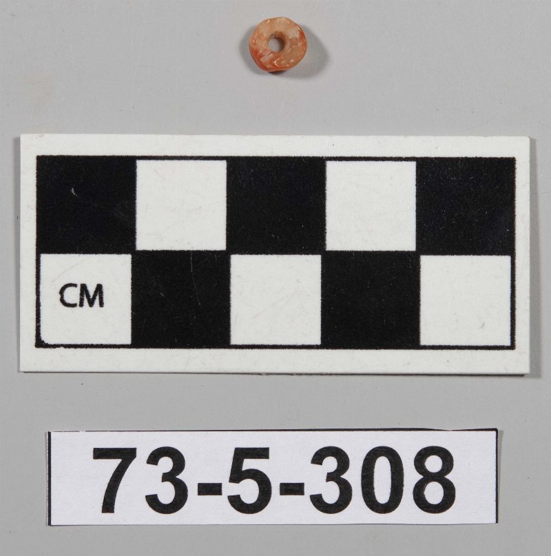 427837