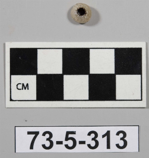 73-5-313