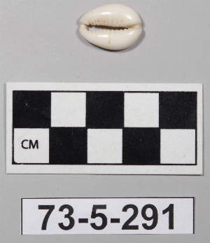 73-5-291