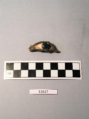 E3617
