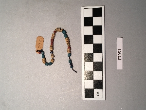 E7951