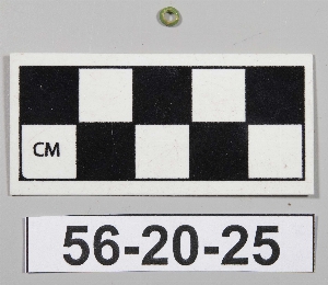 56-20-25