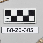 435306