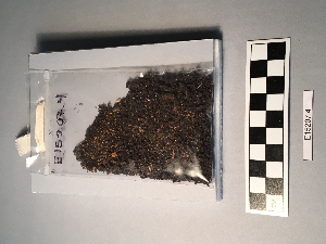 E15207.4