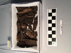 E15207.5